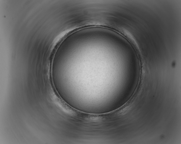 X0000116371035200912231311