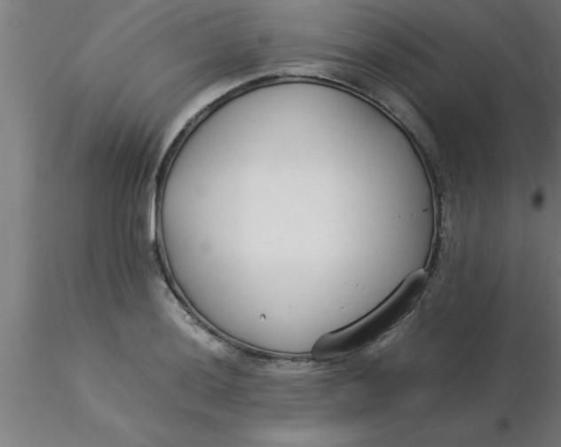 X0000116371036200912231311