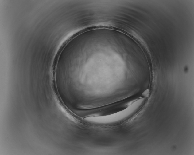 X0000116371037200912231311