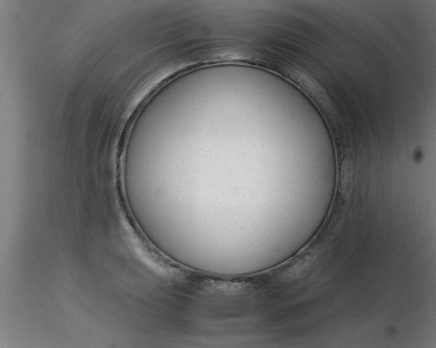 X0000116371039200912231311