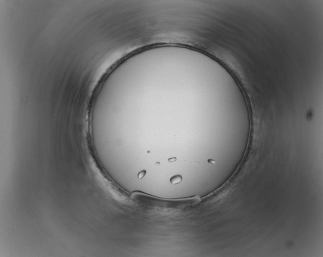 X0000116371040200912231311