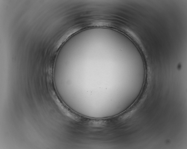 X0000116371041200912231311