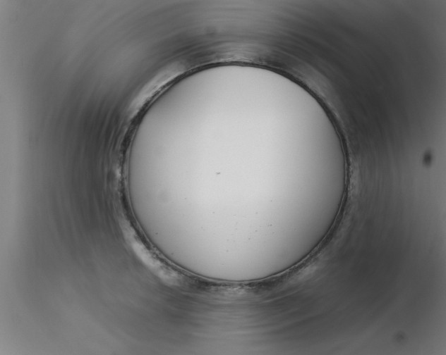 X0000116371042200912231311