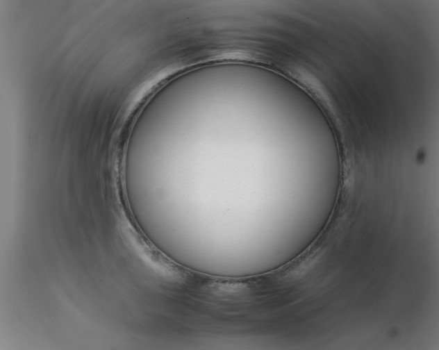 X0000116371043200912231311