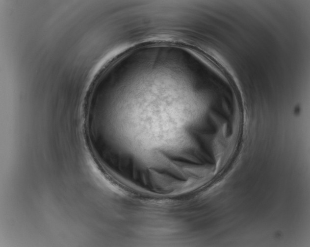 X0000116371045200912231312