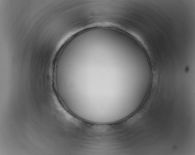 X0000116371046200912231312