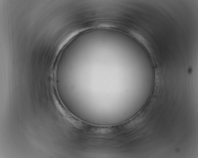 X0000116371047200912231312