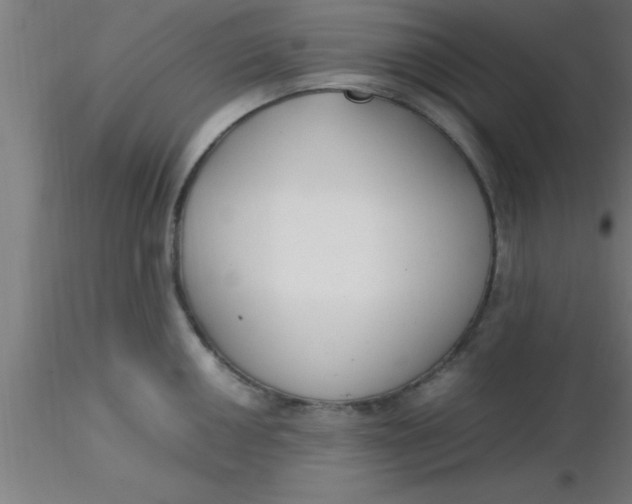 X0000116371050200912231312