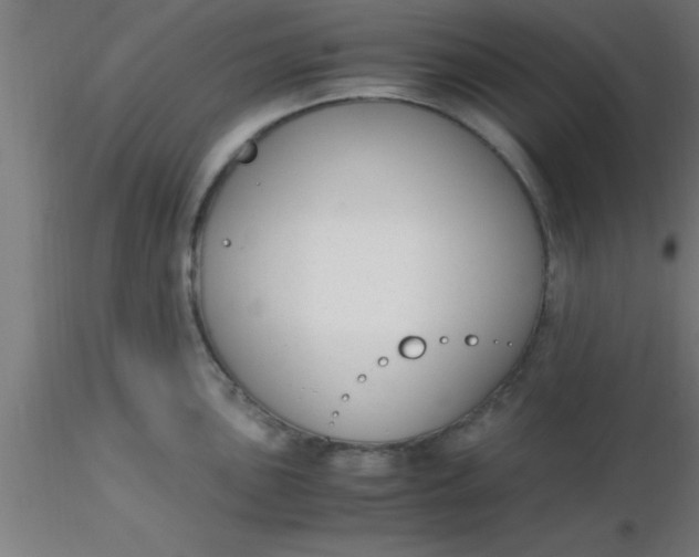 X0000116371051200912231312