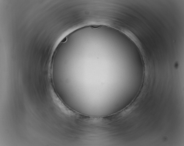 X0000116371052200912231312