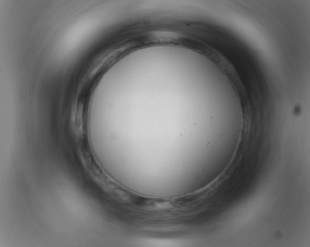 X0000116371054200912231312