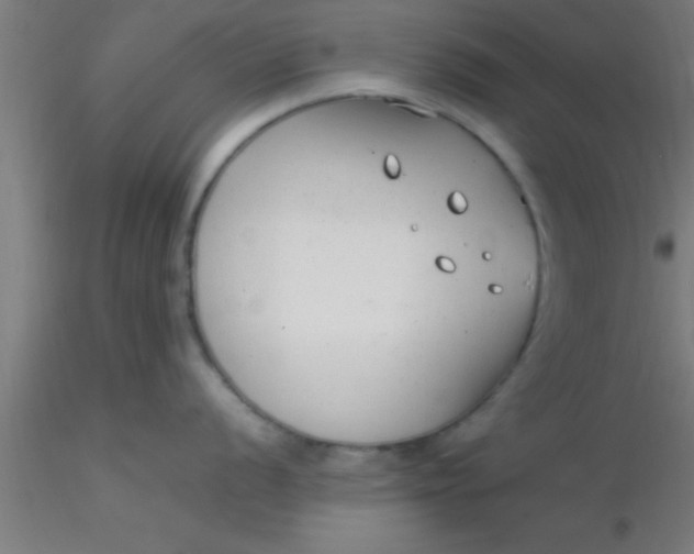 X0000116371056200912231312