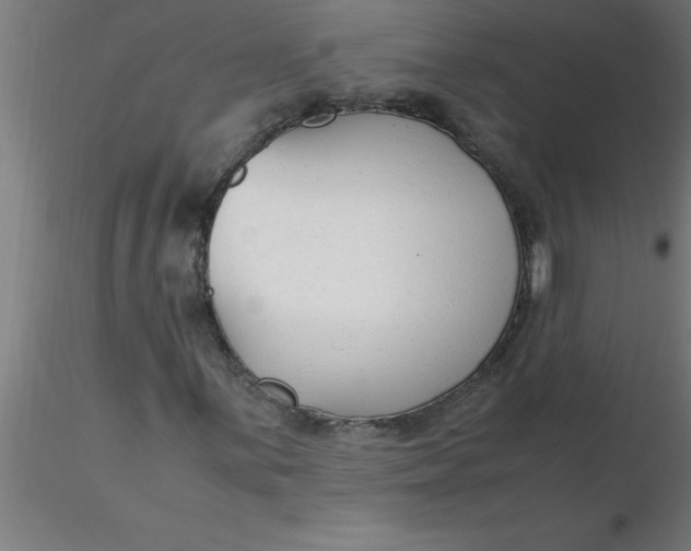 X0000116371059200912231311