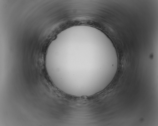 X0000116371062200912231311