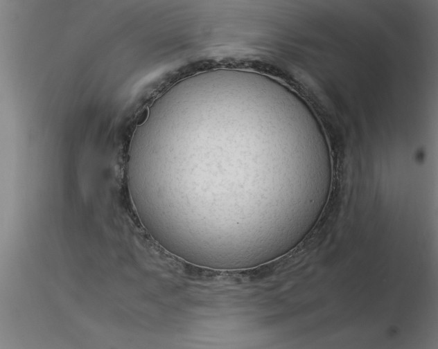 X0000116371063200912231311