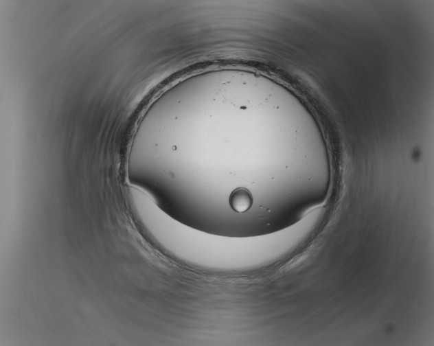 X0000116371065200912231311