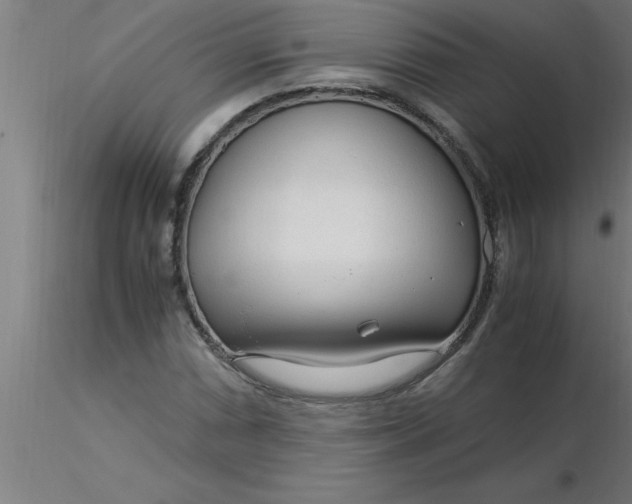 X0000116371066200912231311