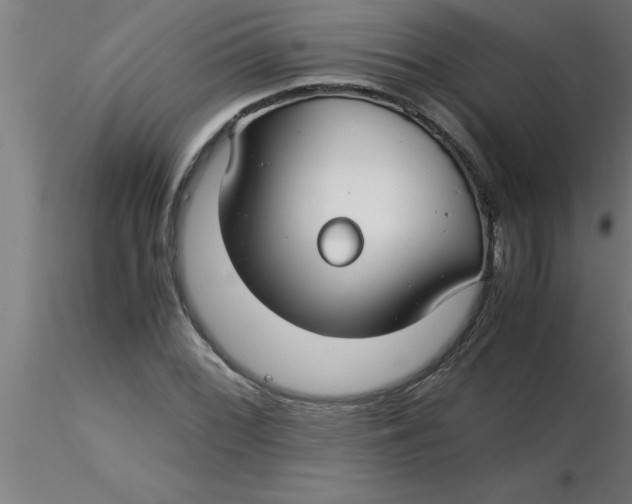 X0000116371068200912231311