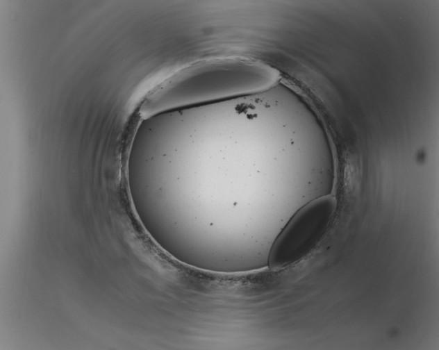 X0000116371069200912231311