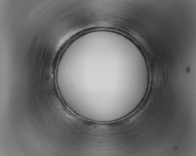 X0000116371070200912231311