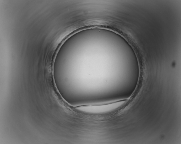 X0000116371073200912231311