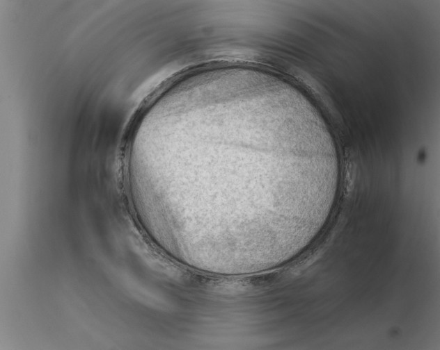 X0000116371074200912231311