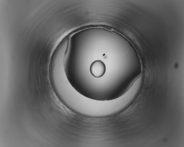 X0000116371076200912231311