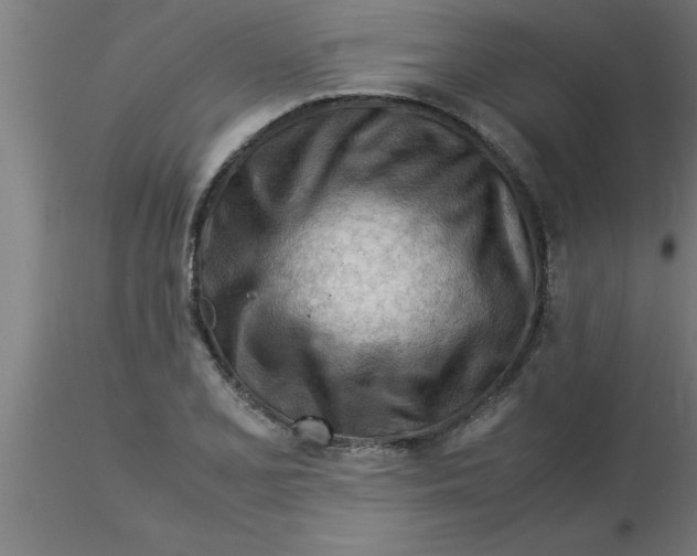 X0000116371077200912231311