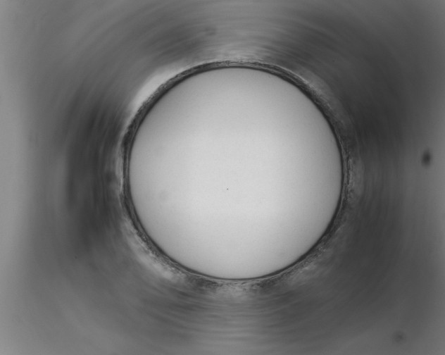 X0000116371078200912231311