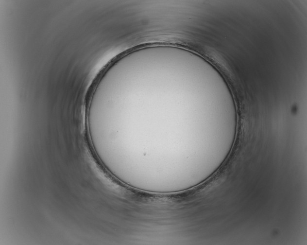 X0000116371079200912231311