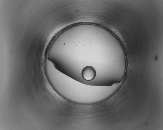 X0000116371080200912231311