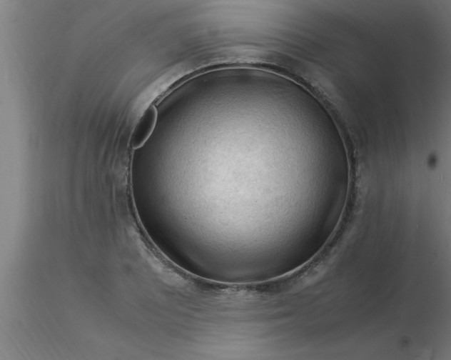 X0000116371081200912231311