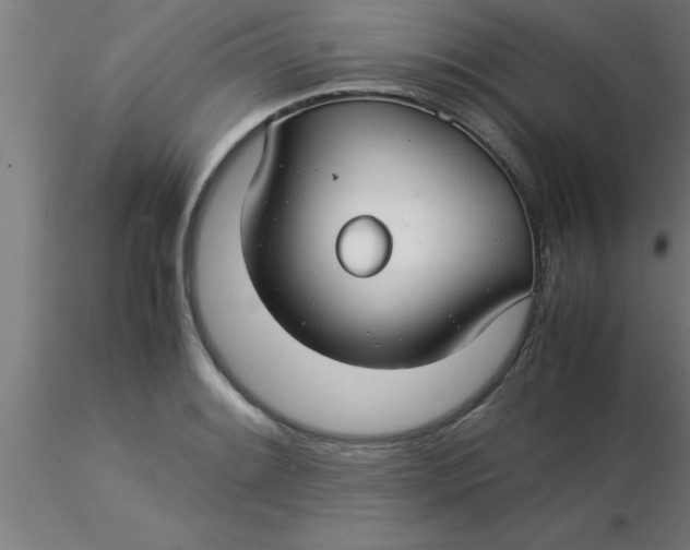 X0000116371084200912231311