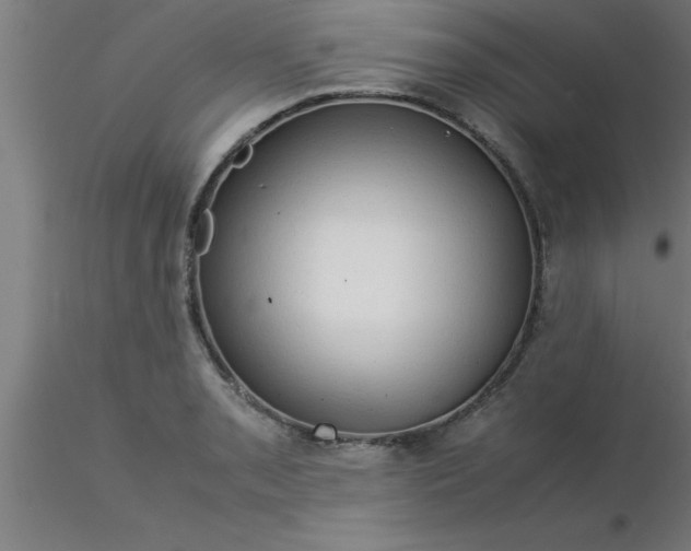 X0000116371085200912231311