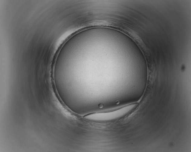 X0000116371086200912231311