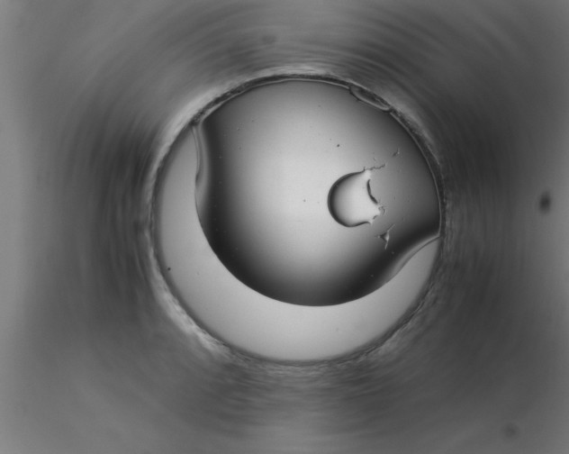 X0000116371088200912231311