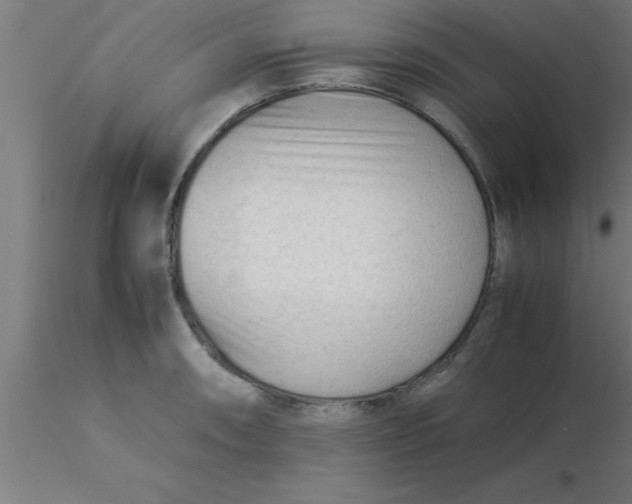 X0000116371090200912231311