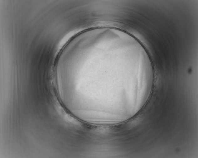 X0000116371094200912231311