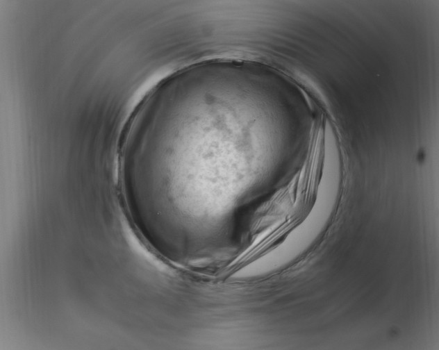 X0000116371095200912231310