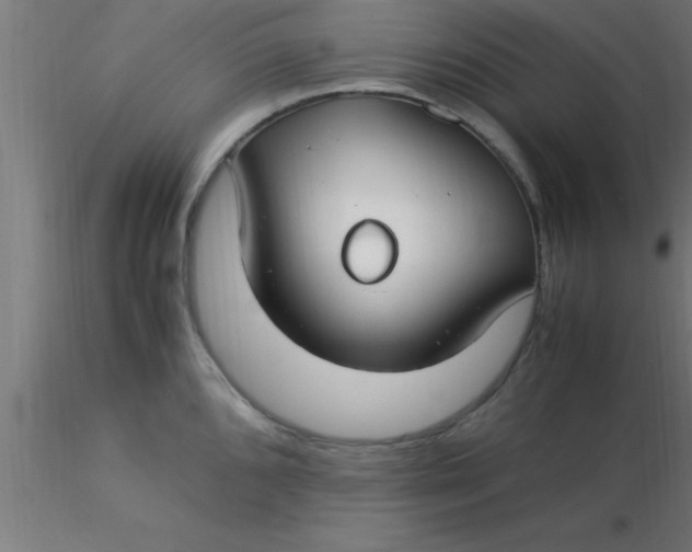 X0000116371096200912231310