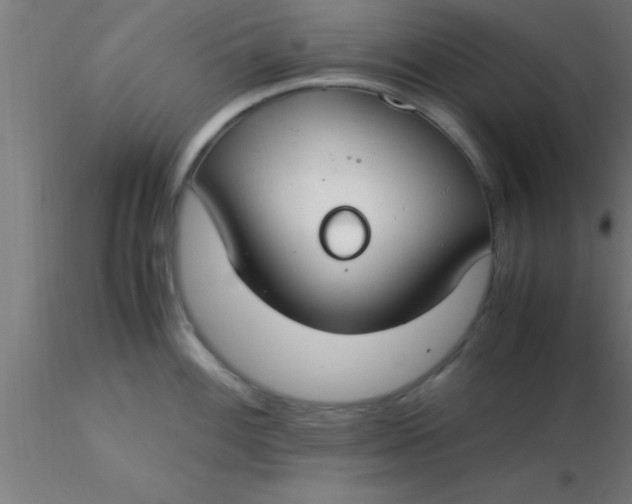 X0000116371100200912231310