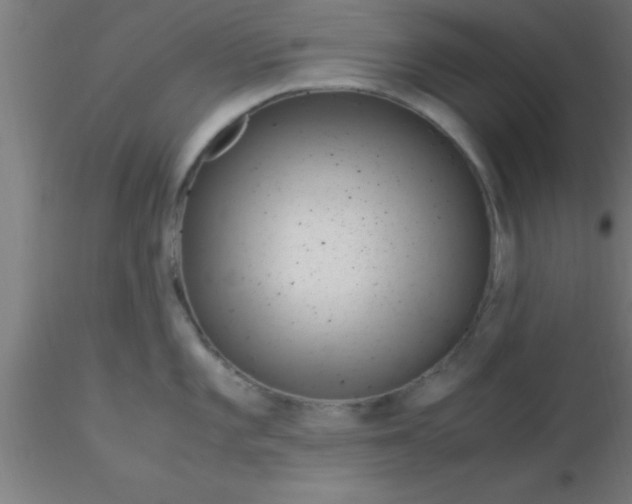 X0000116371101200912231310