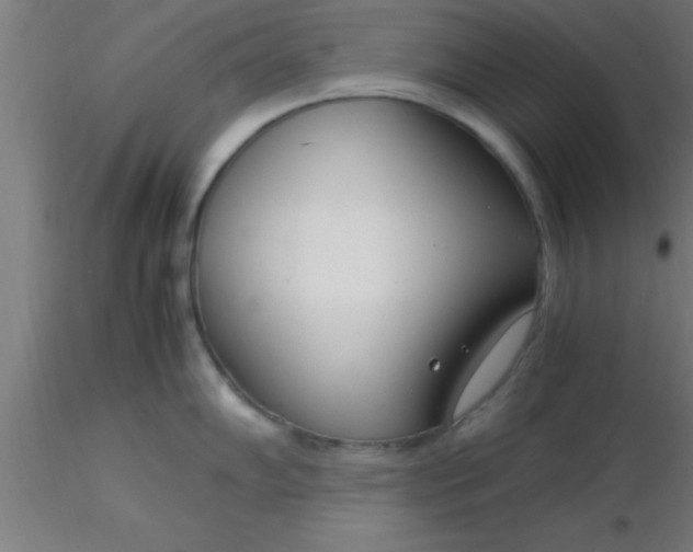 X0000116371102200912231310