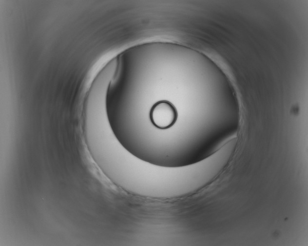 X0000116371104200912231310