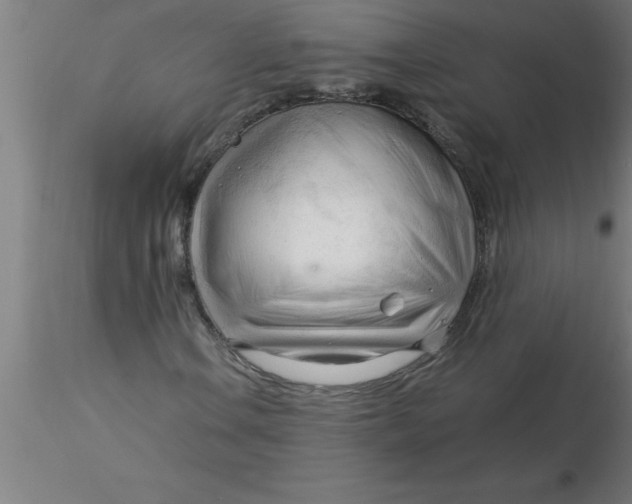 X0000116371106200912231310