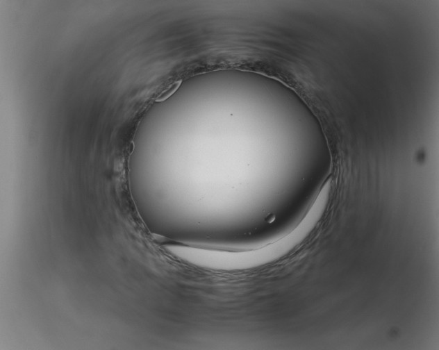 X0000116371109200912231310