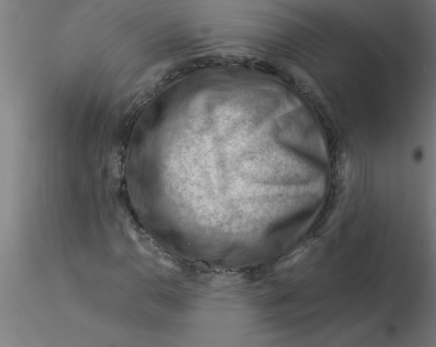 X0000116371110200912231310