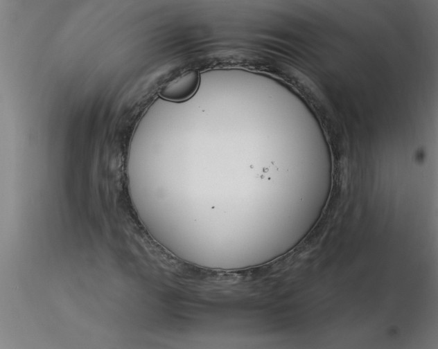 X0000116371111200912231310