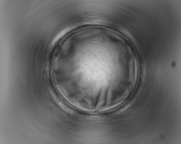 X0000116371114200912231310