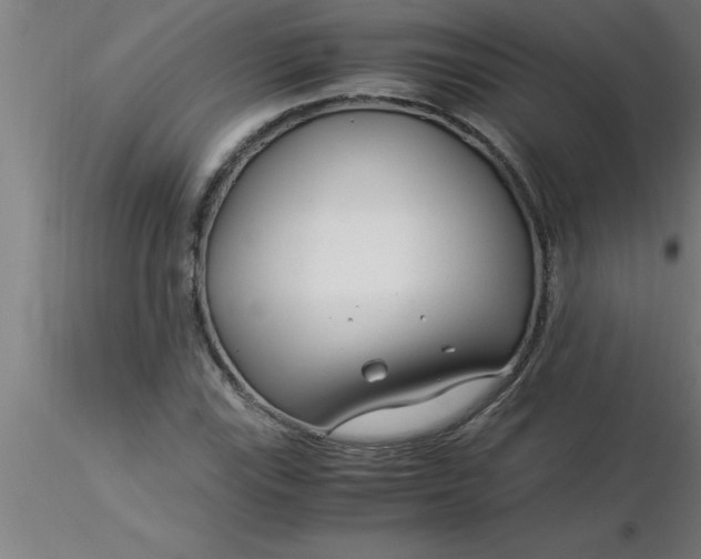 X0000116371115200912231310